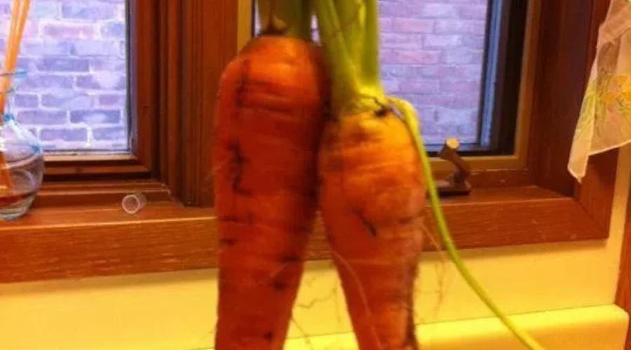 Farm To Caf At Local High Schools