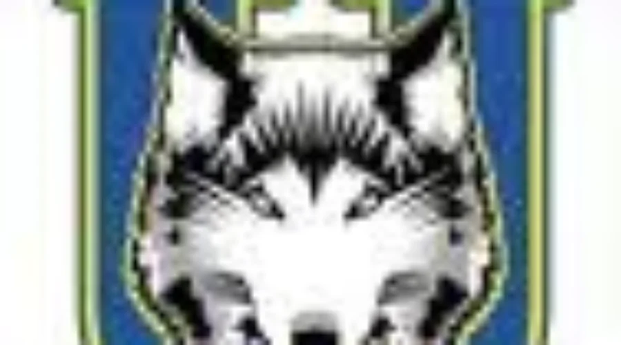 T-Wolves Hockey Schedule Released