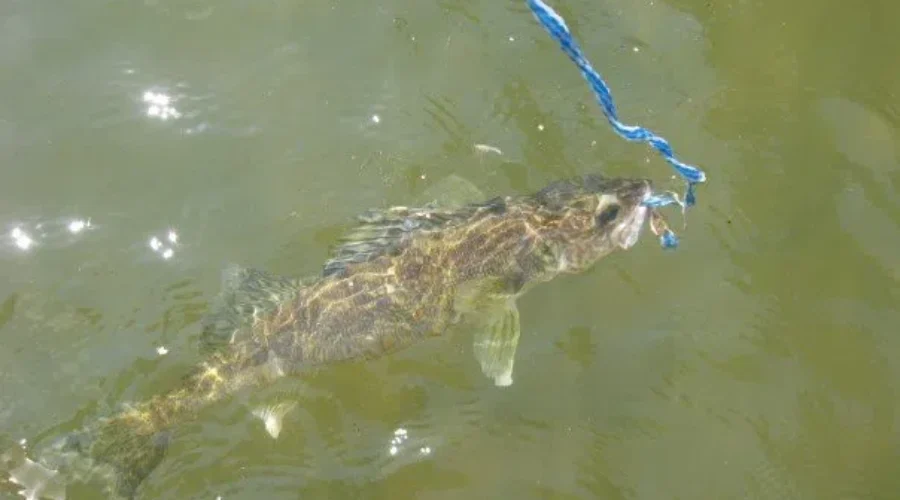 Fishing Season Is Here