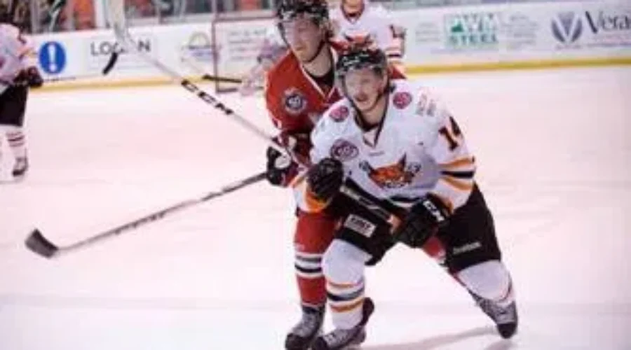 Austin McDonald Back With The T-Wolves