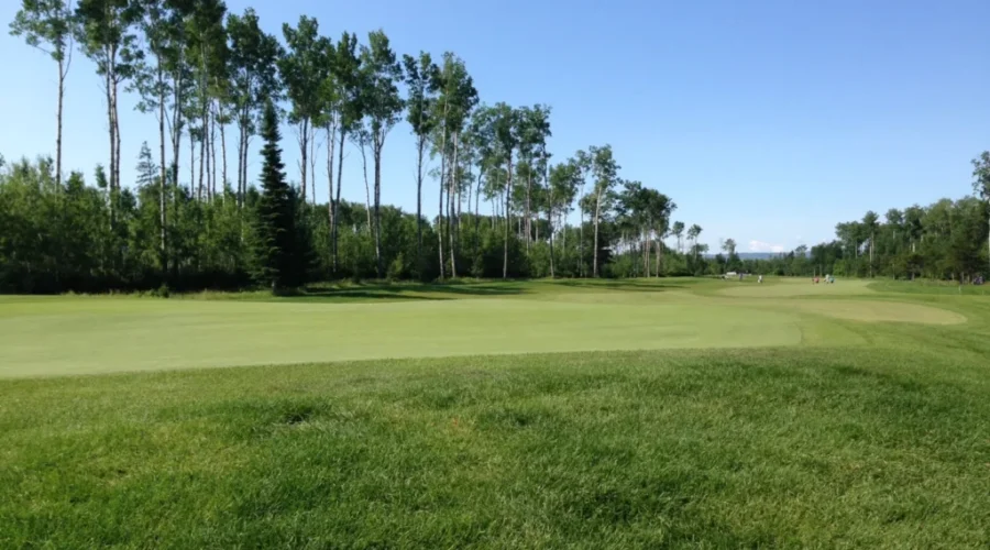 Staal Foundation Open Underway