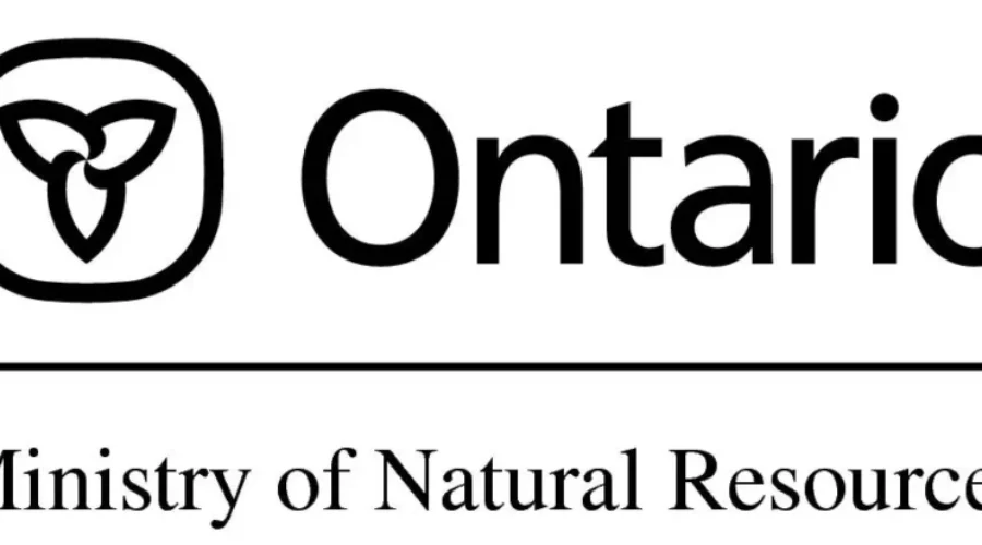 12 Active Fires In NWO