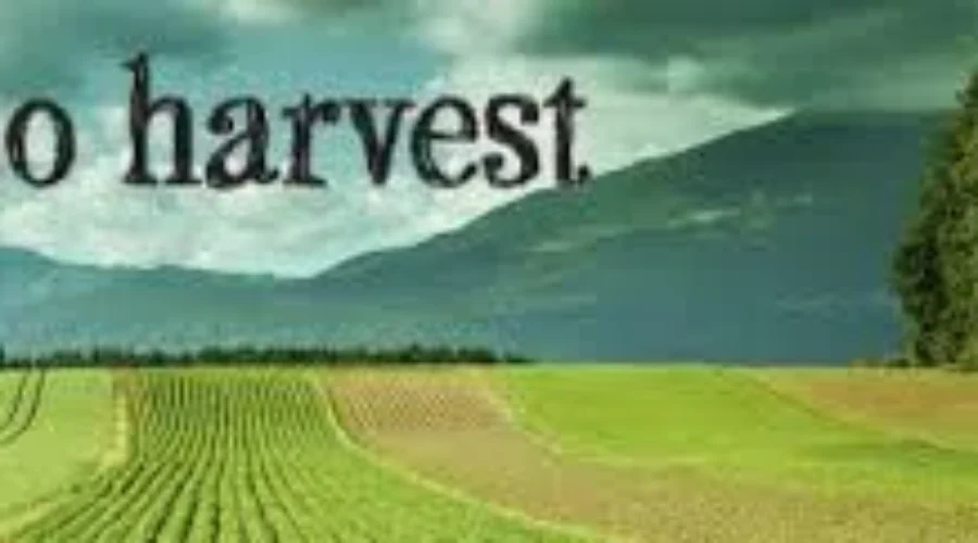 Roots To Harvest, School Board Partner For Farm