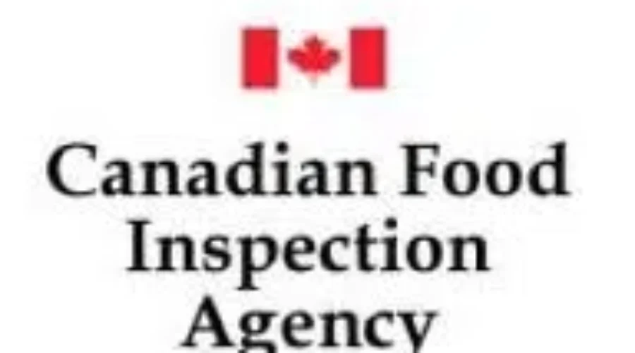 Onion Rings Recalled Over Possible Glass Contamination