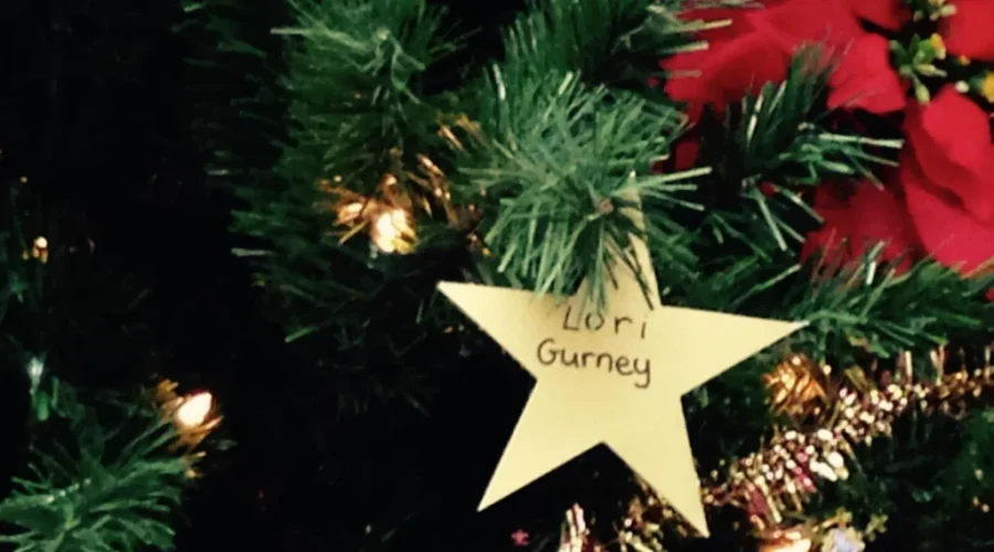 Hospital Foundation Launches Christmas Appeal