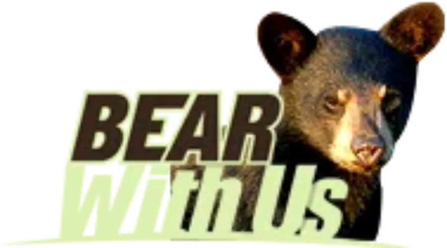 Bear Found Injured In Rainy River Recovering