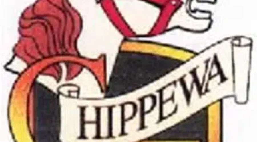 Friends of Chippewa Park Wants Council To Wait For Master Plan