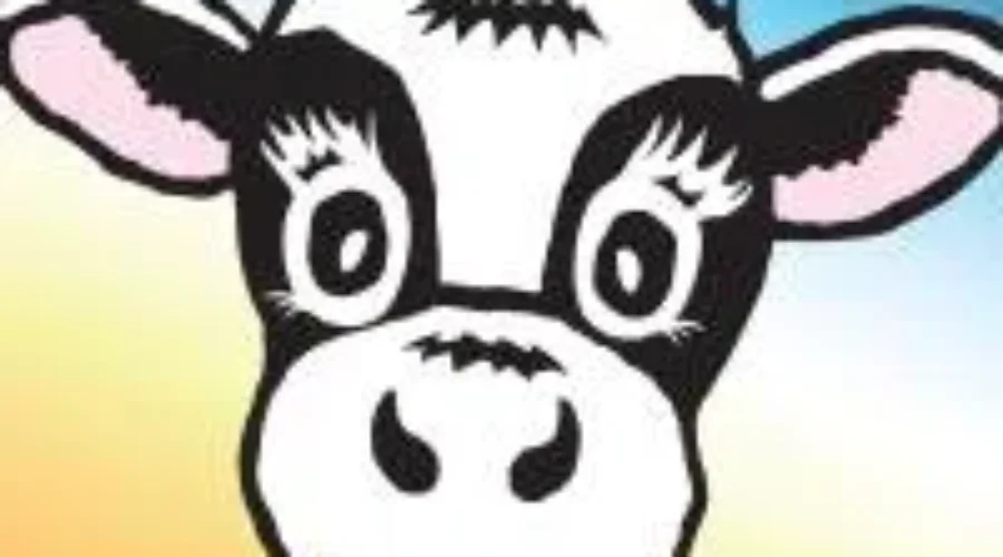 Local Dairy Farm Opens For Public Tours