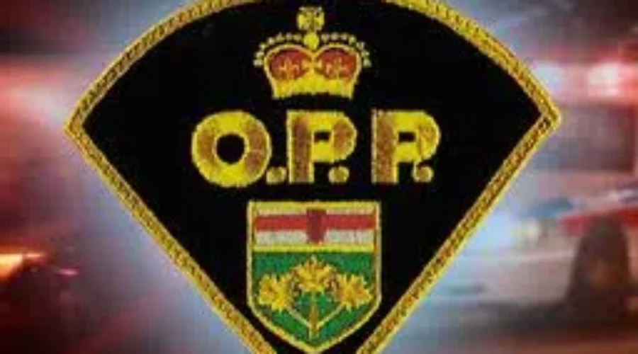 Truck Crashes Into Joyce Lake