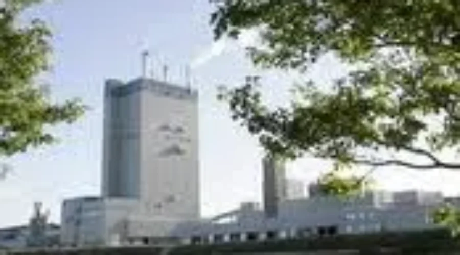 Strong Q3 For Domtar