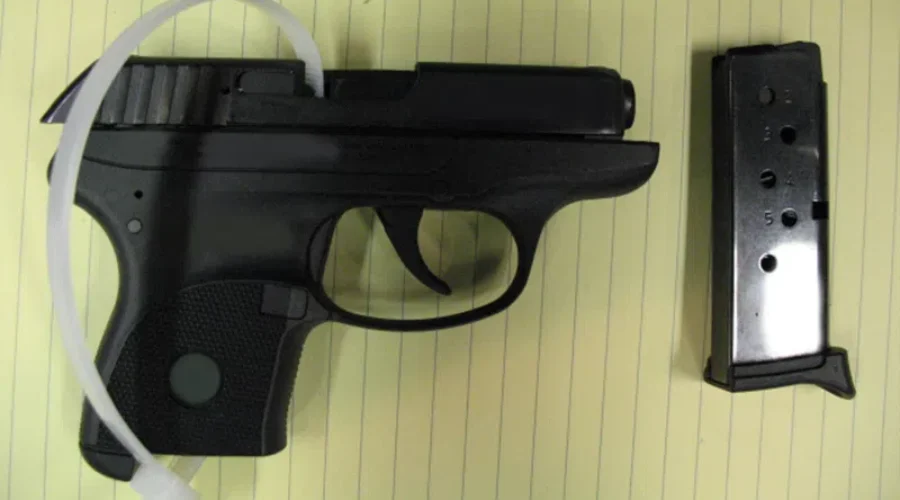Texas Man Charged At Pigeon River