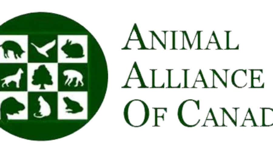 AAC Bares Teeth Over Spring Bear Hunt