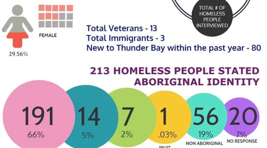 Homeless Count Surprises