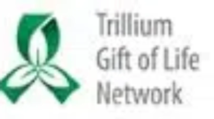 TB a Gift Giving City