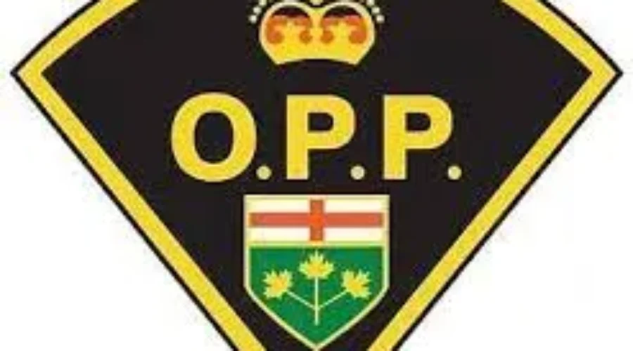 No Arrests In Greenstone Thefts