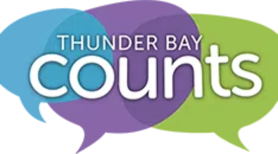 Tbay Counts Gets New Site