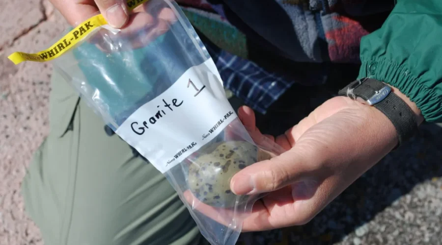 Gull Eggs Pass Pollution Test