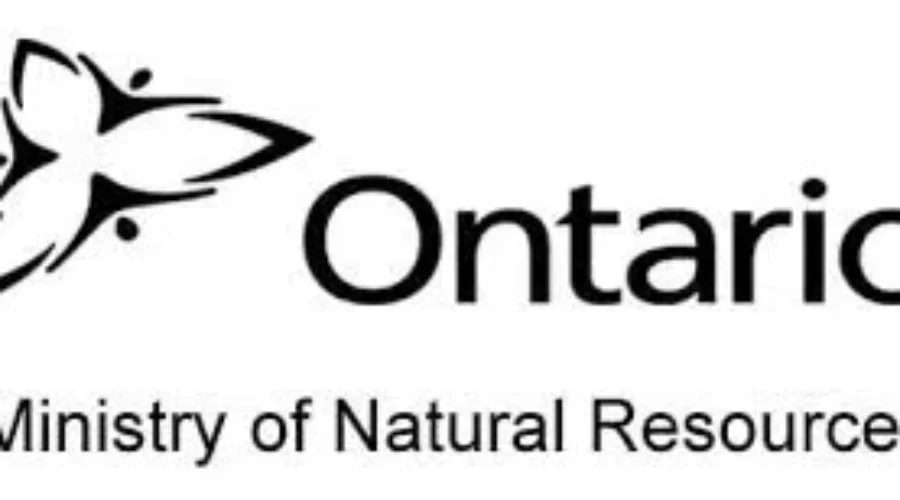 Schreiber Man Fined For Hunting Offences