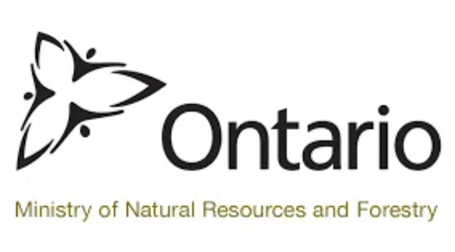 Southern Ont. Man Fined For Shooting At Decoy