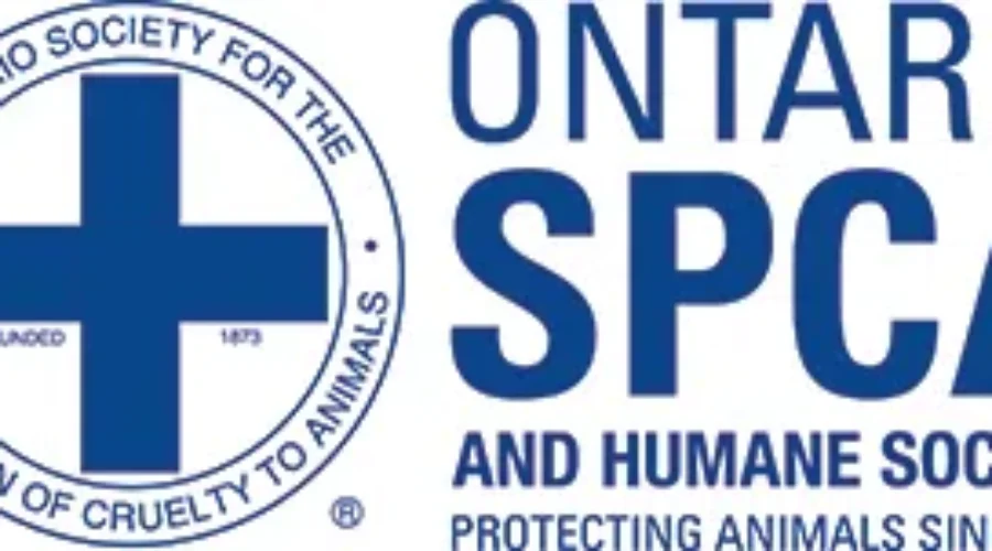 Man Pleads Guilty In Greenstone Animal Cruelty Case