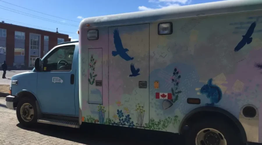 Elevate NWO Hopes For Council Support