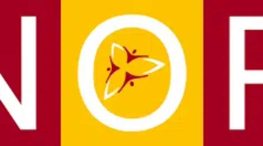 Northern Ontario Party Selects Thunder Bay Candidate