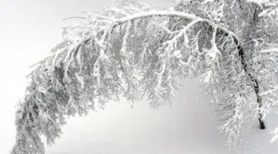 Colder And More Snow Than Average In April