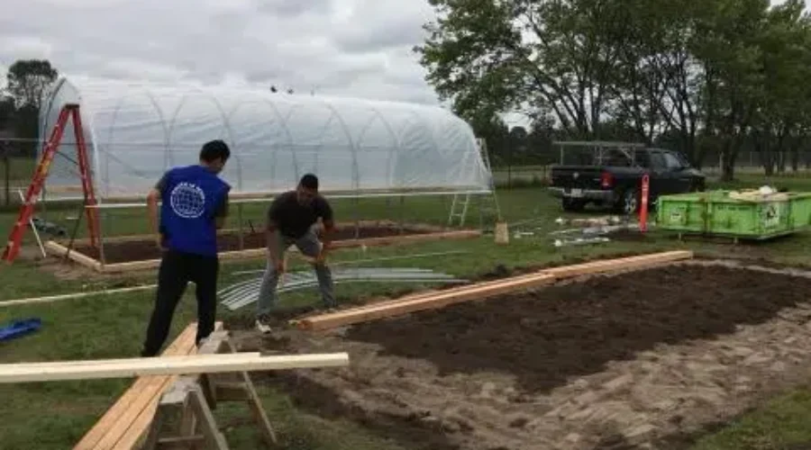 Dennis Franklin Cromarty Building Greenhouses