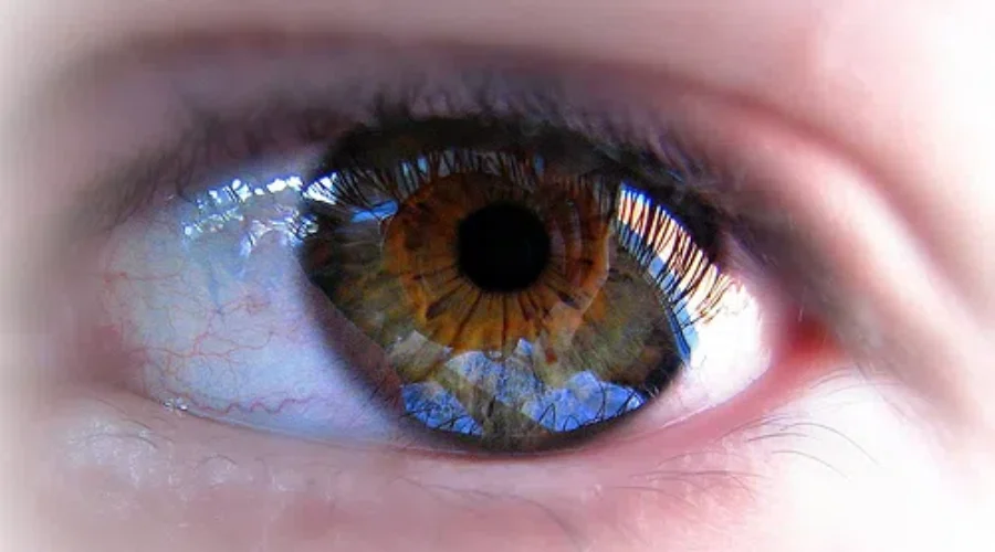 Don’t It Make My Brown Eyes Blue
