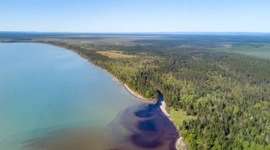 Giant Chunk Of Black Bay Protected