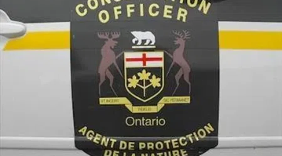 Enforcement Blitz Leads To Charges