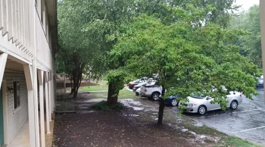 Former Local Resident Endures Storm