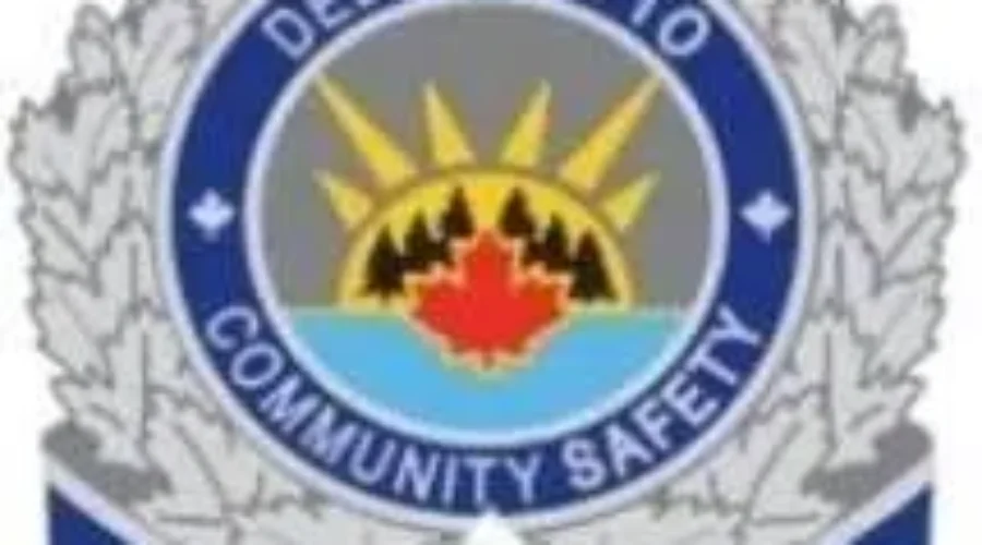 Scarborough Woman Arrested In Dryden