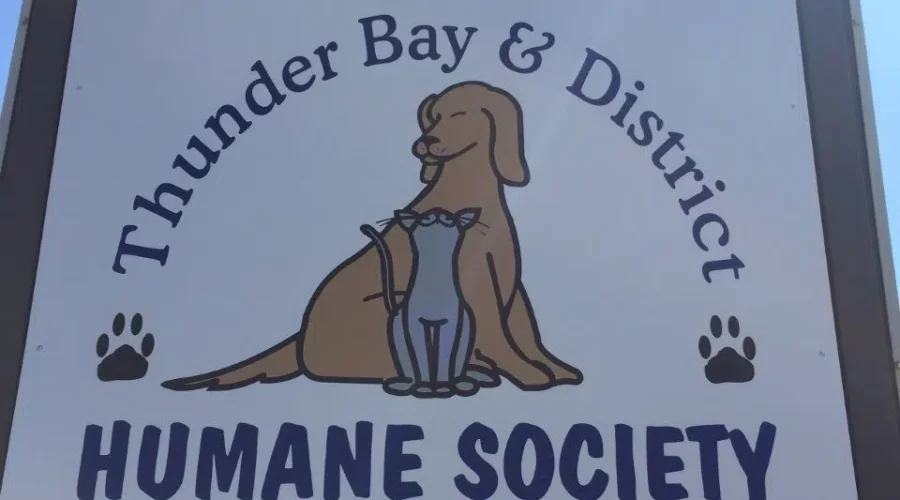 Three Local Investigations Involving Animal Cruelty