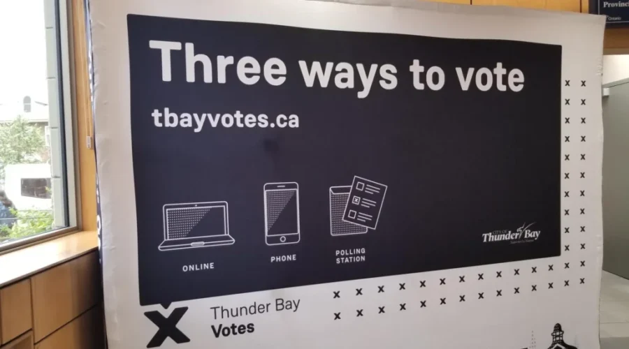 City Reviews Fall Election