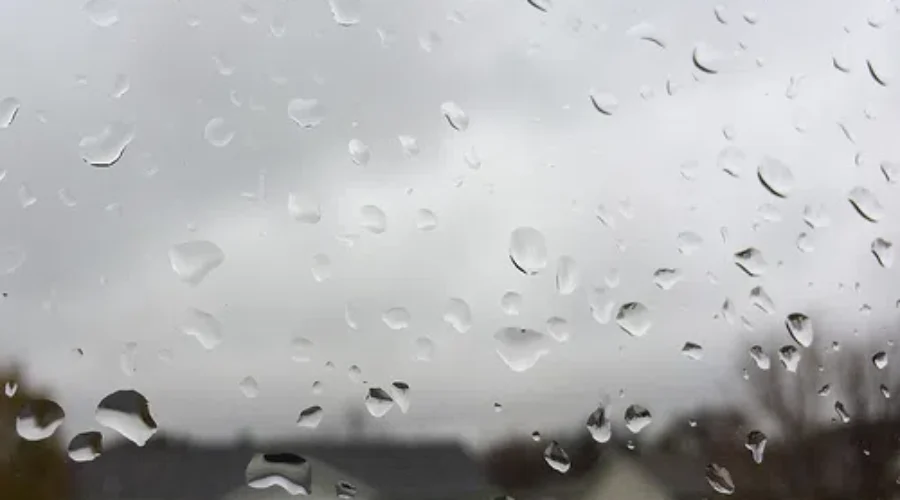 Warm & Wet September