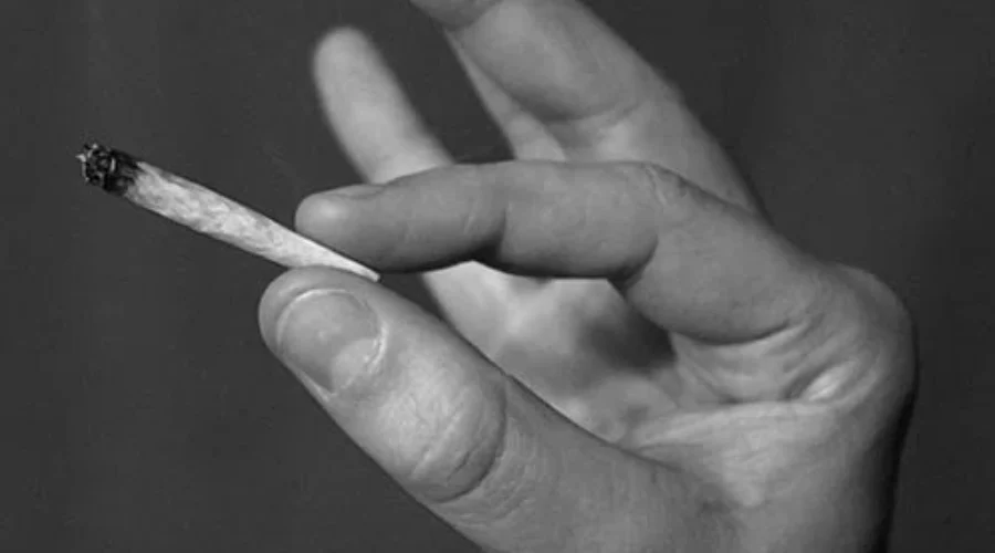 OPP Release Cannabis Policy