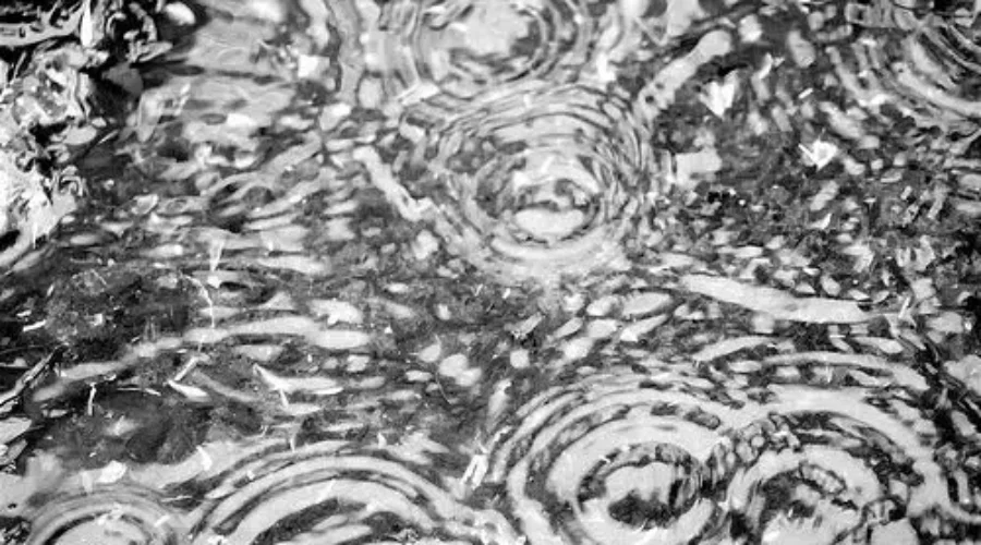 Heavy Rainfall Expected