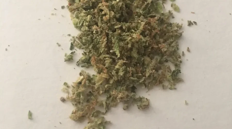 City Considers Cannabis Store Guidelines