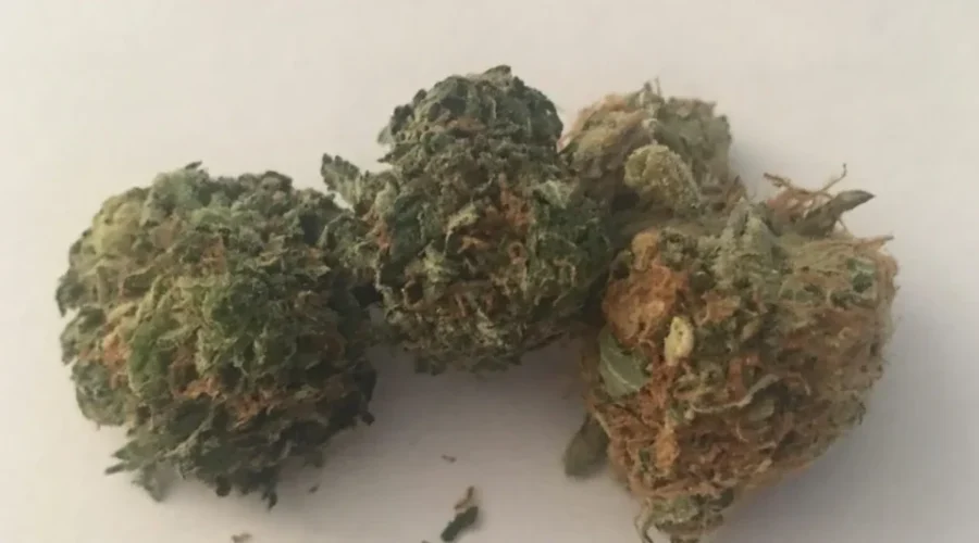 Decision Time Looms On Cannabis Store