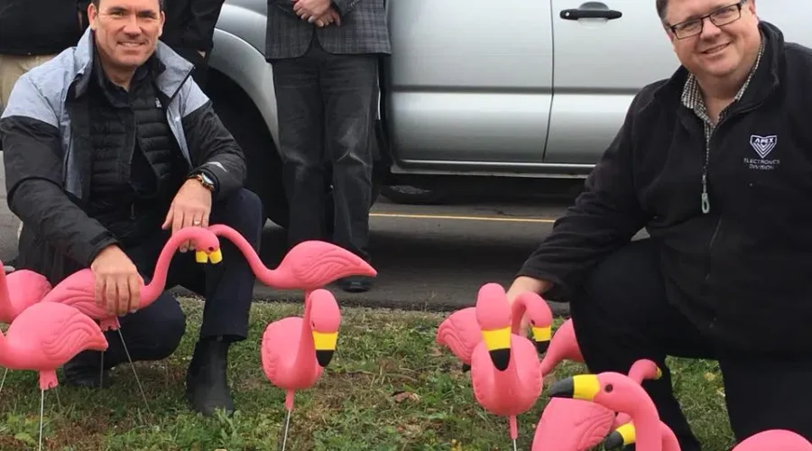 Return Of The Flockers 2018