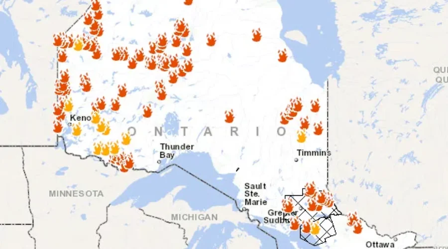 Last Forest Fire Officially Out