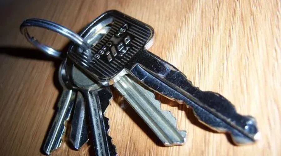 Operation Red Nose Is Back