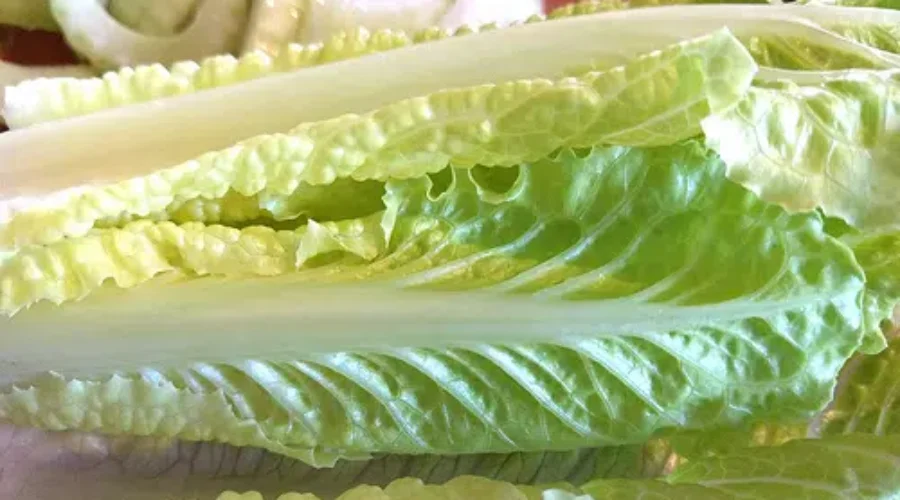 E-Coli Warning About Romaine Lettuce