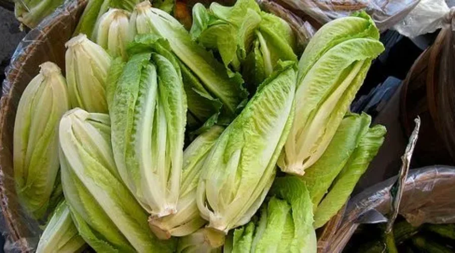 Local Eateries Remove Romaine