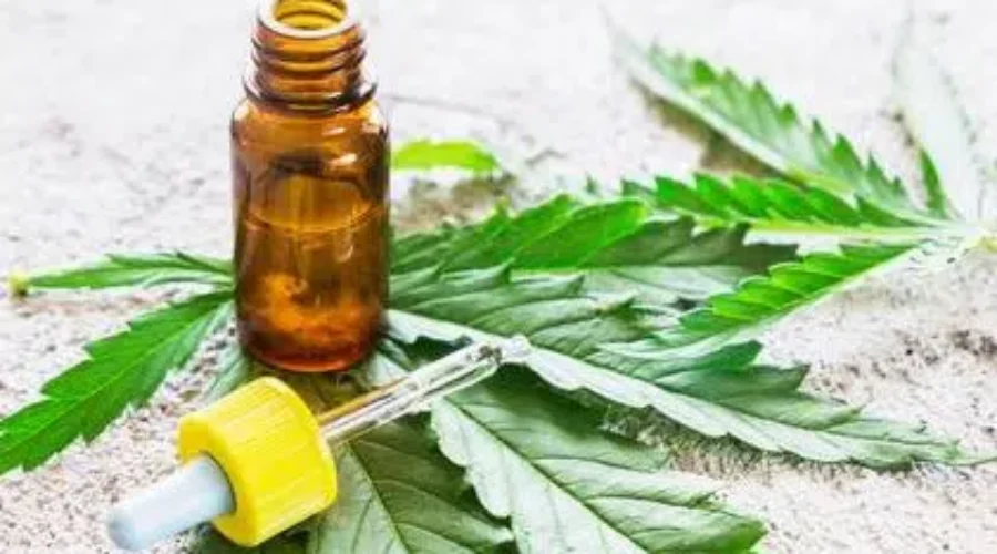 Legalize Cannabis Derivatives: Advocates