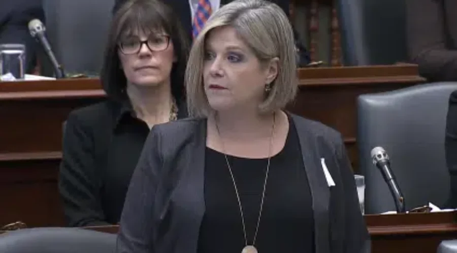 NDP Critique PC Mini-Budget