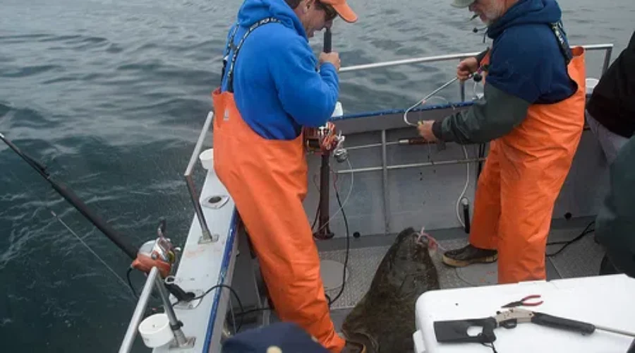 Government Freezes Fishing Fees