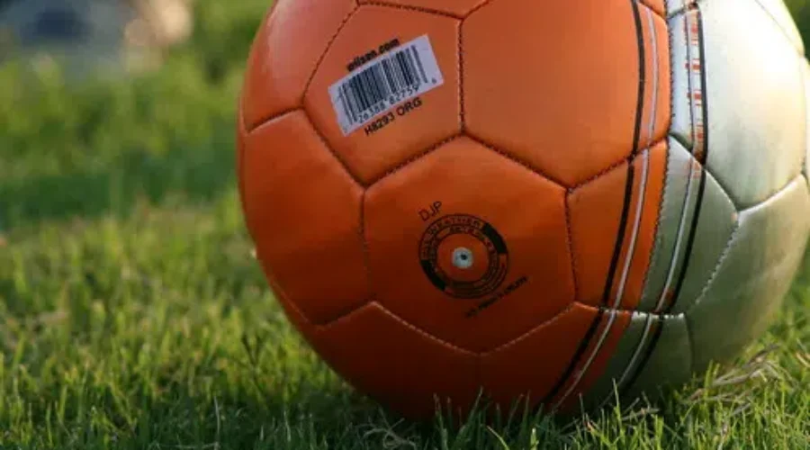 Mayor Meets With Winnipeg Turf Owners