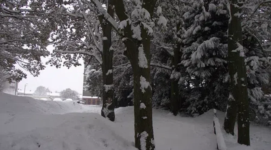 Winter Could Hit Thunder Bay Again